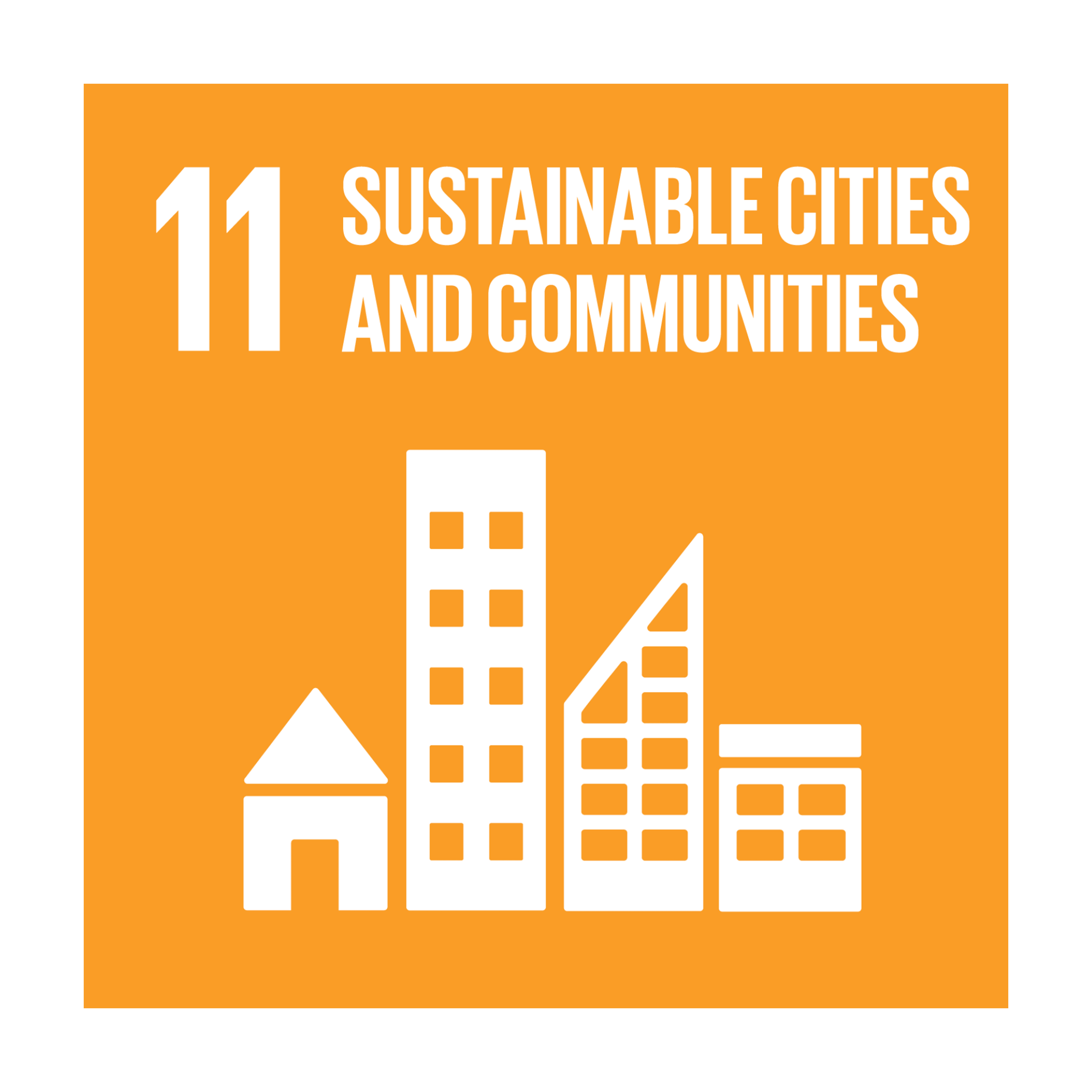 SDG 11