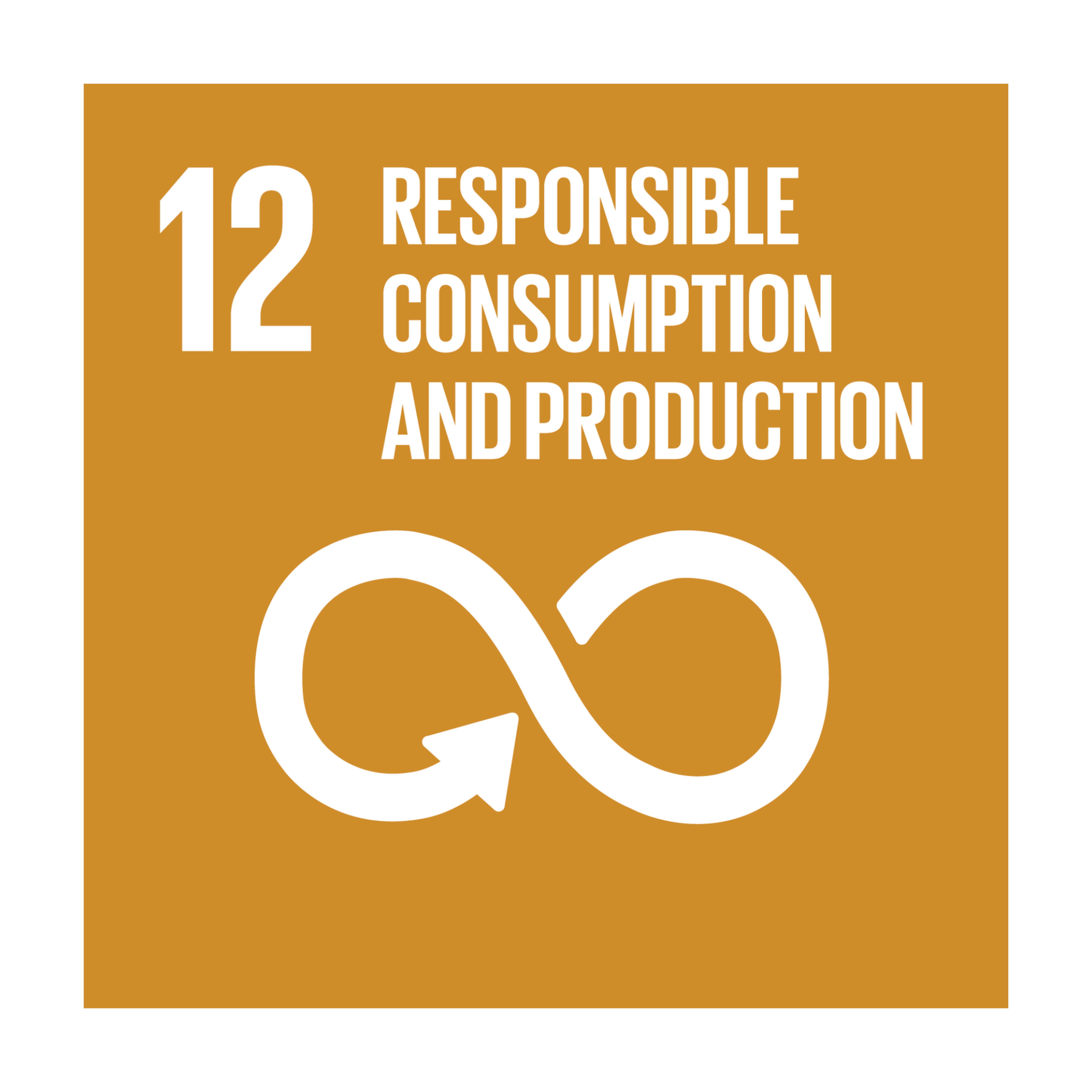 SDG 12