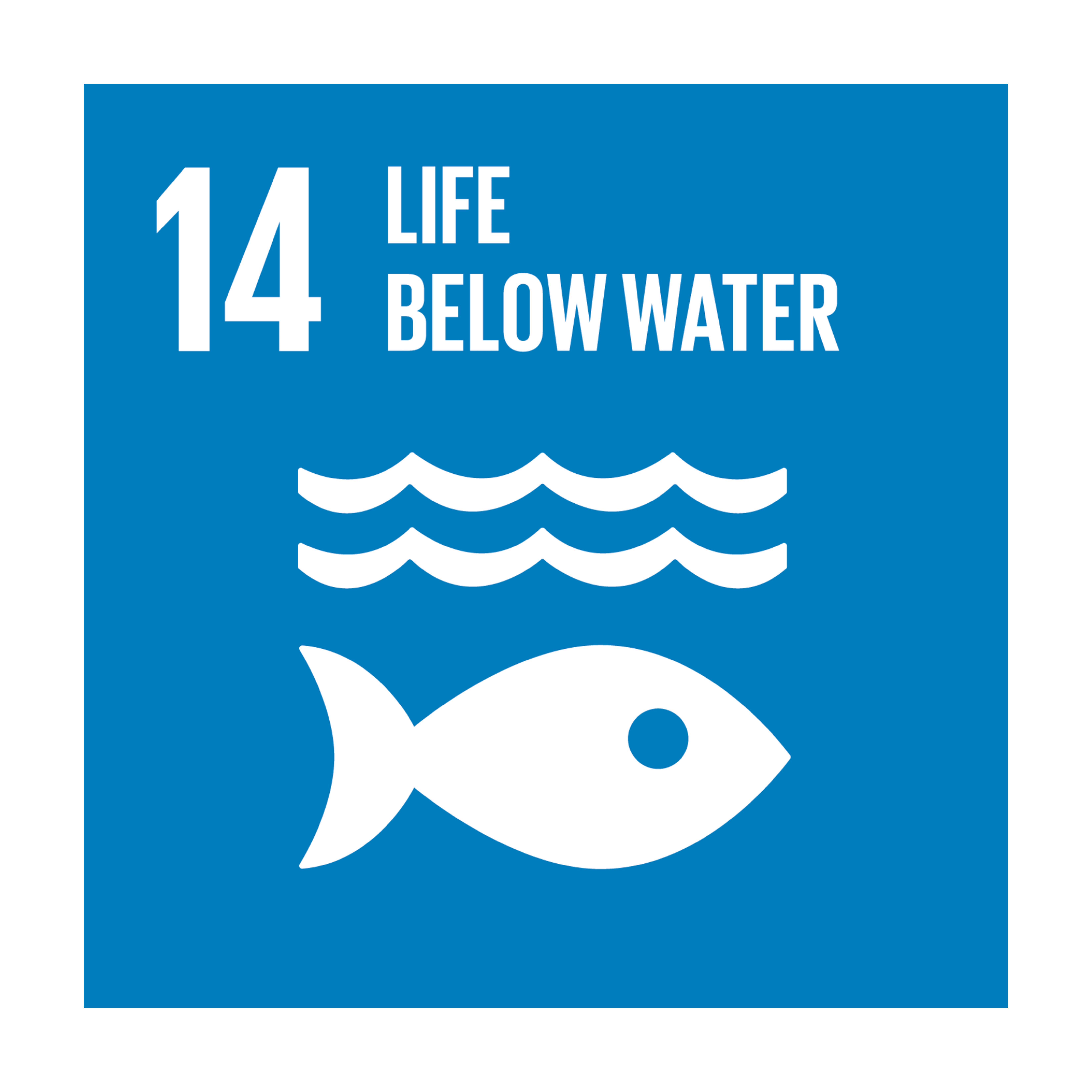 SDG 14