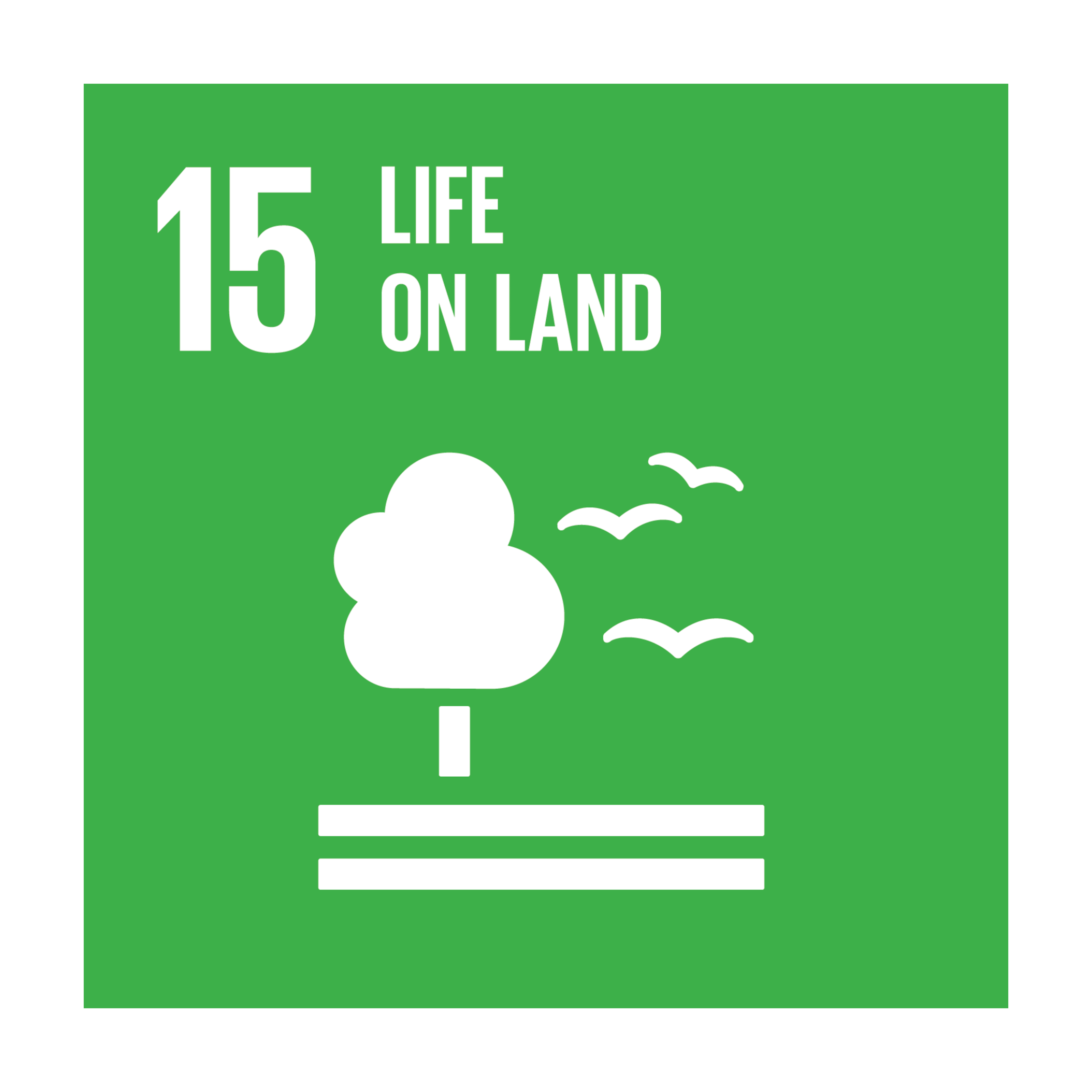 SDG 15