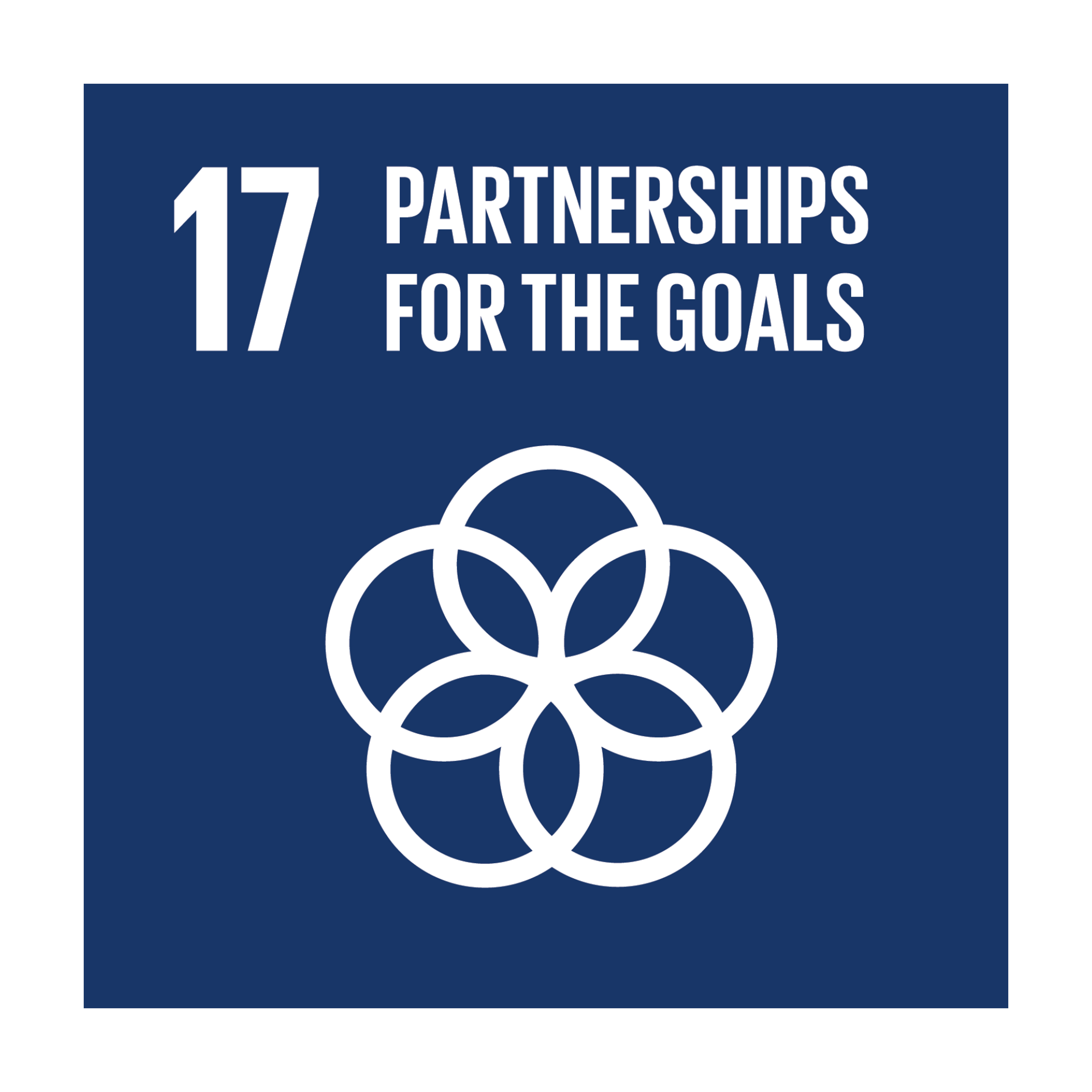 SDG 17