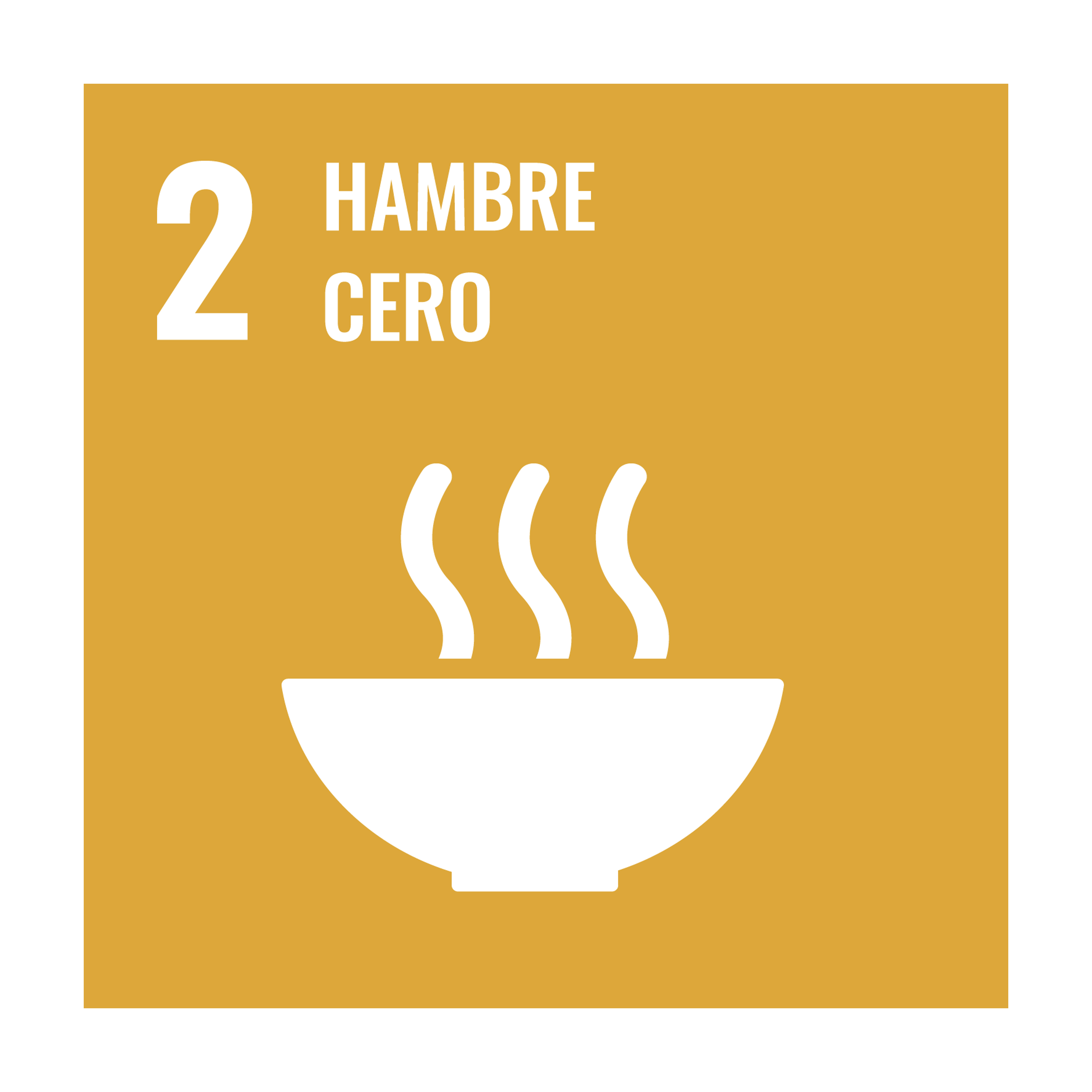 SDG 2